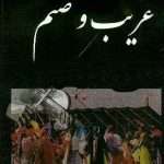 دانلود آهنگ سنم – قاشقایی