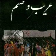 دانلود آهنگ سنم – قاشقایی