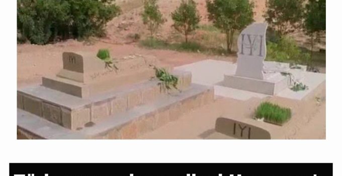 Türk Savaşçıların Ailesi Hamaneye Açık Mektup Gönderdi
